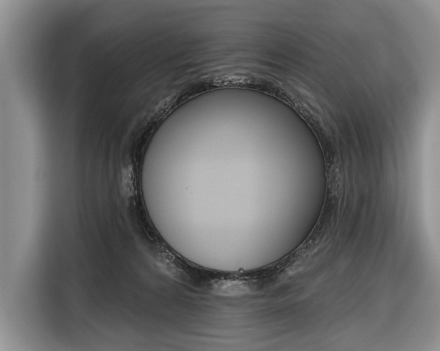 X0000116380224200912091421