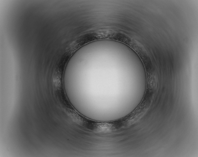 X0000116380226200912091421