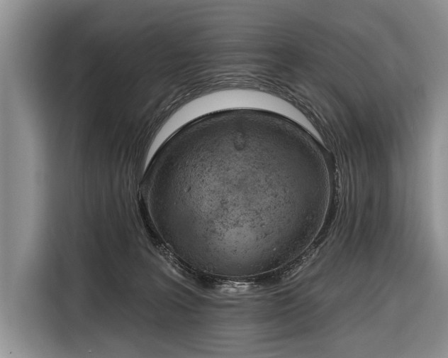 X0000116380227200912091421