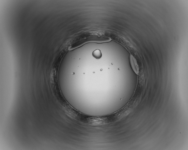 X0000116380229200912091421