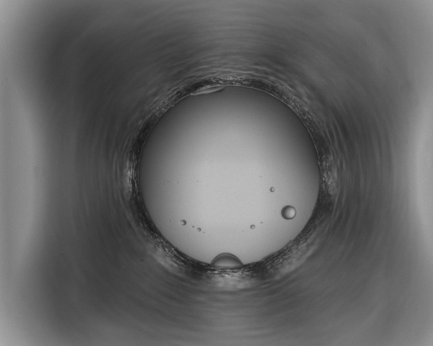 X0000116380235200912091421