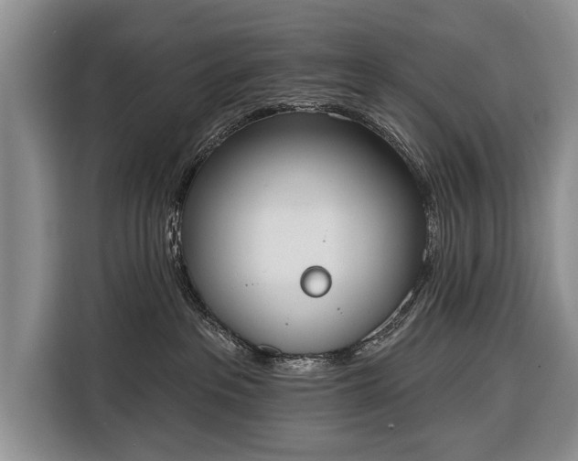 X0000116380237200912091421