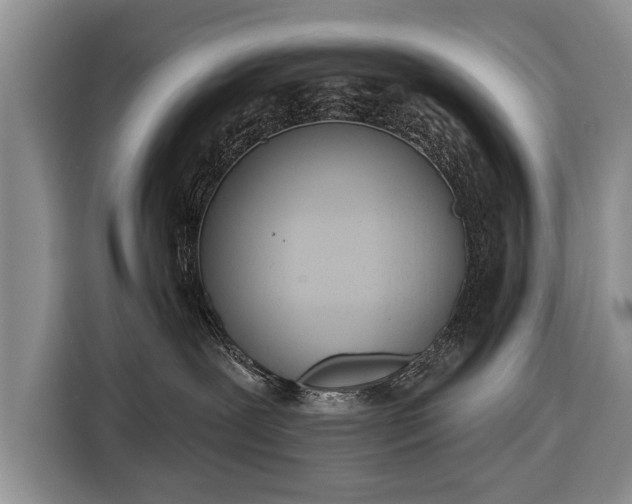 X0000116380239200912091421