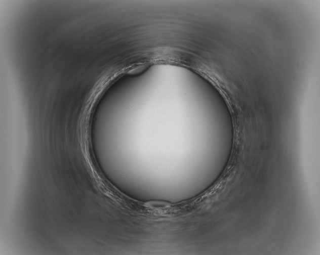 X0000116380241200912091420