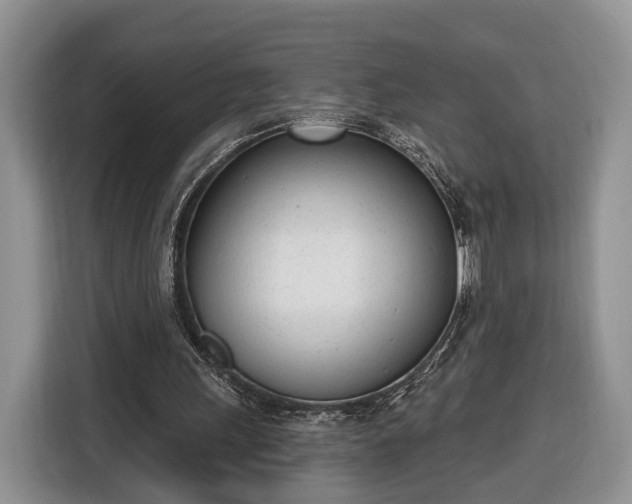 X0000116380243200912091420