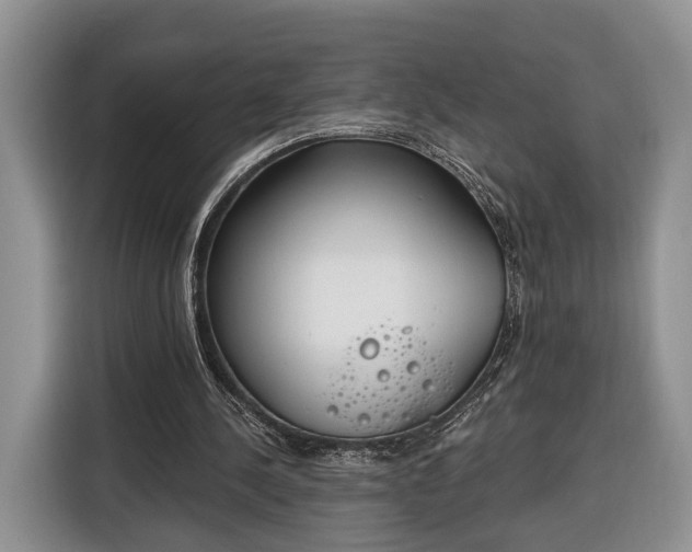 X0000116380244200912091420
