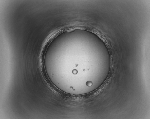 X0000116380245200912091420
