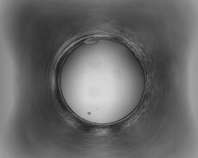 X0000116380247200912091420