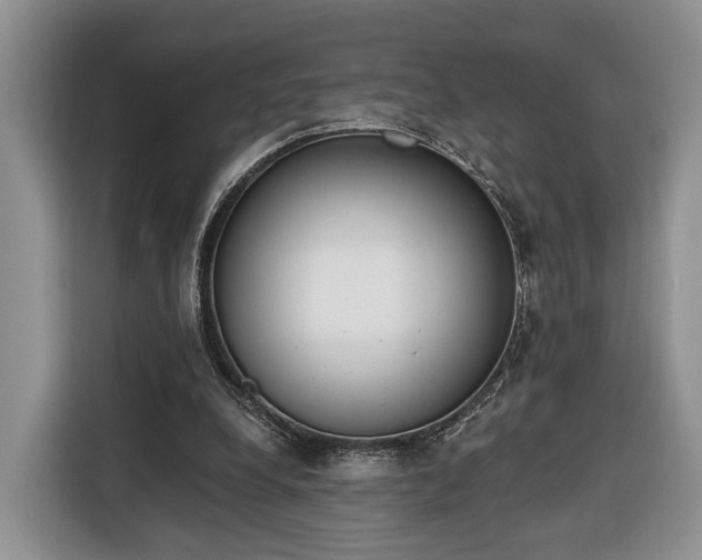 X0000116380248200912091420