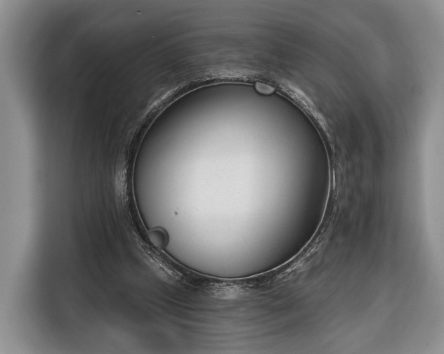X0000116380249200912091420