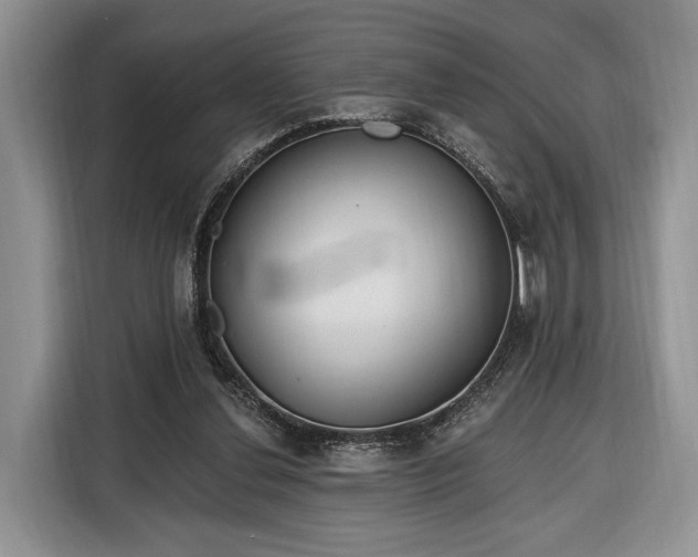 X0000116380252200912091420