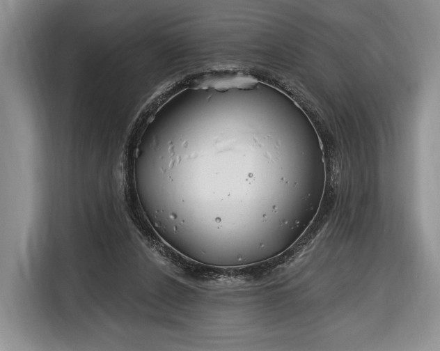X0000116380256200912091420