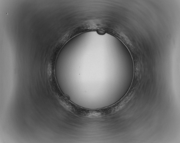 X0000116380257200912091420