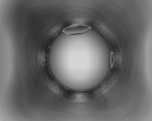 X0000116380264200912091420