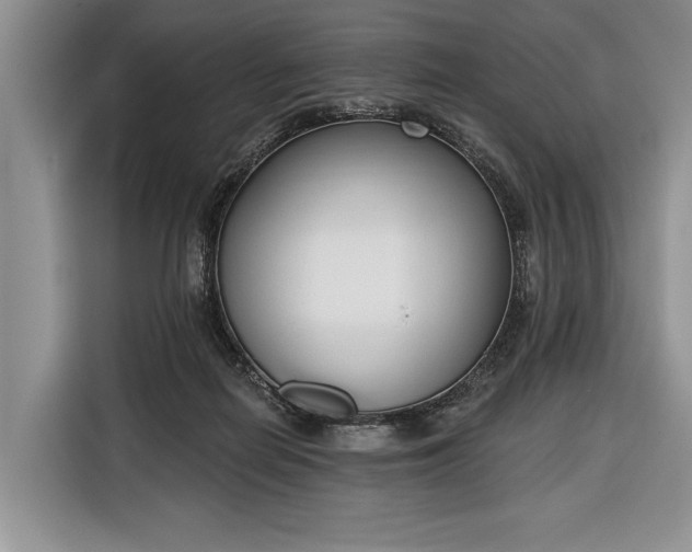 X0000116380266200912091420