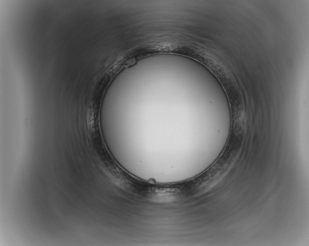 X0000116380268200912091420