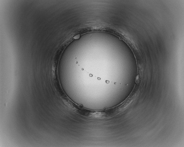 X0000116380269200912091420