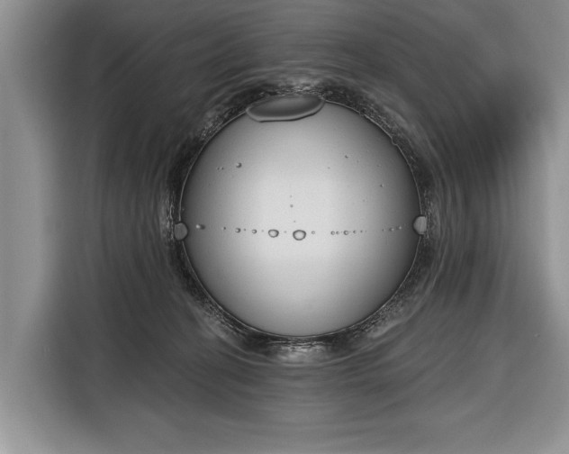 X0000116380274200912091420