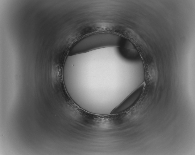 X0000116380276200912091420