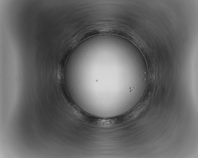 X0000116380277200912091420