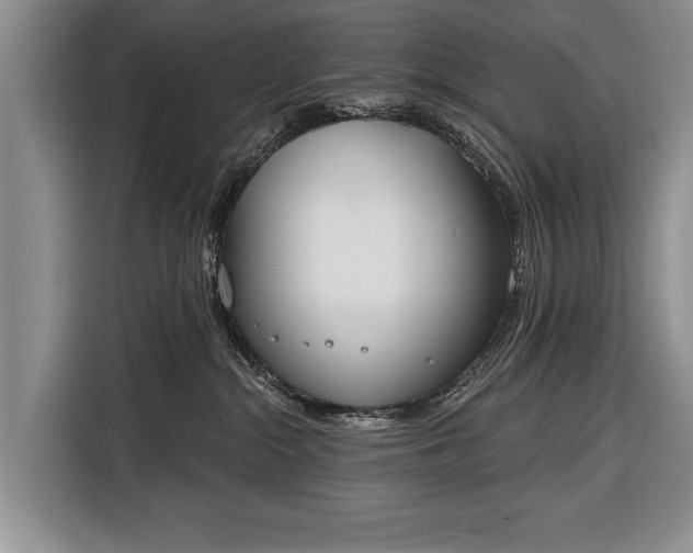 X0000116380284200912091421