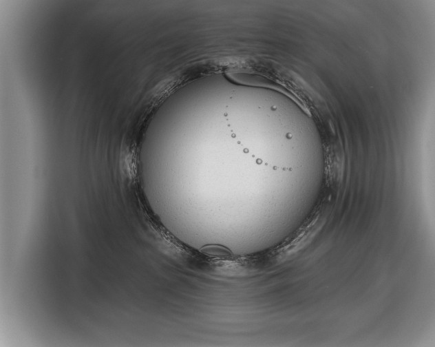 X0000116380285200912091421