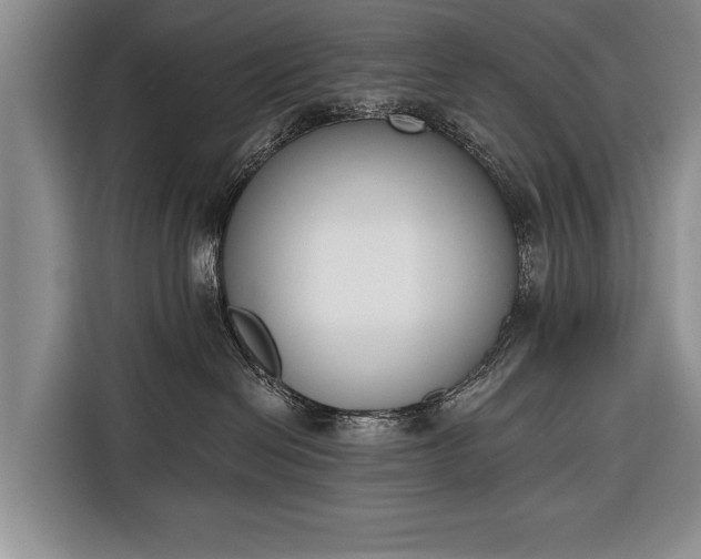 X0000116380286200912091421