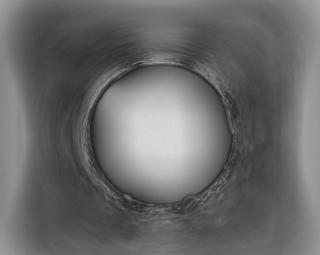 X0000116380289200912091420