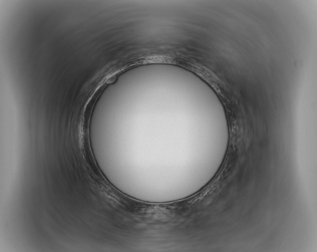 X0000116380290200912091420