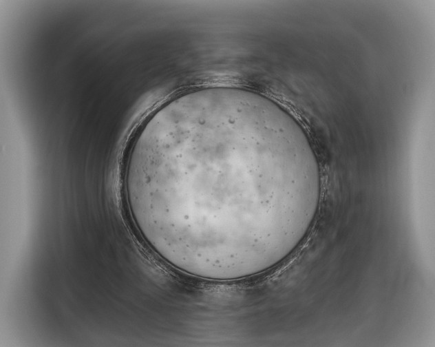 X0000116380293200912091420