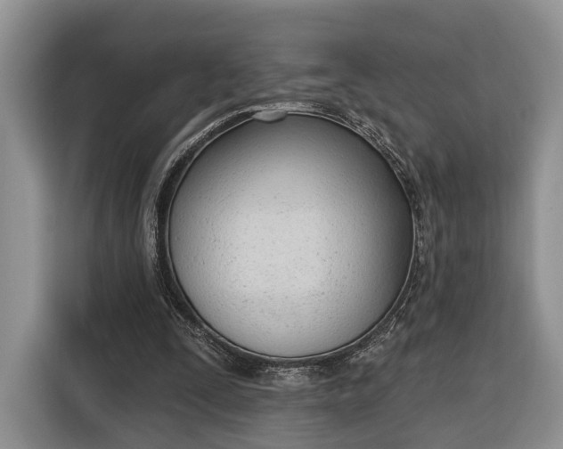X0000116380295200912091420