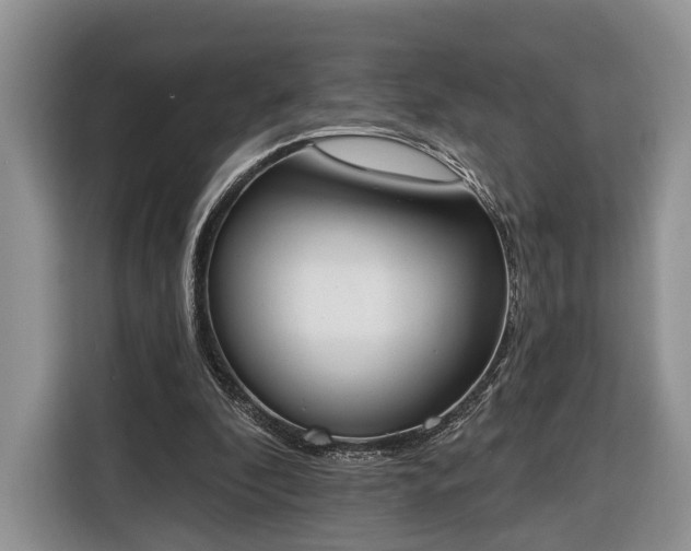 X0000116380296200912091420