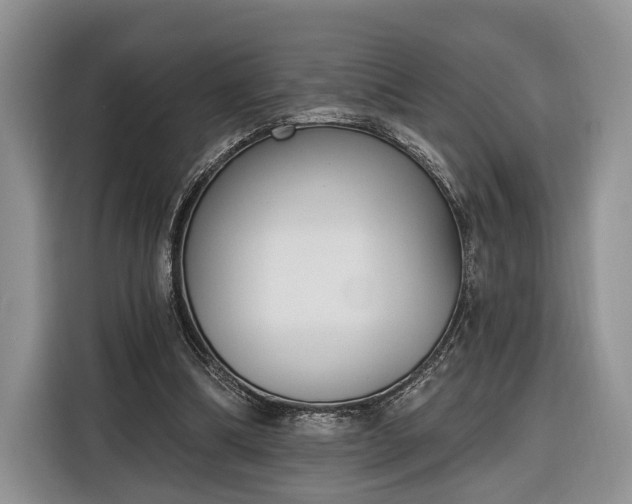 X0000116380298200912091420