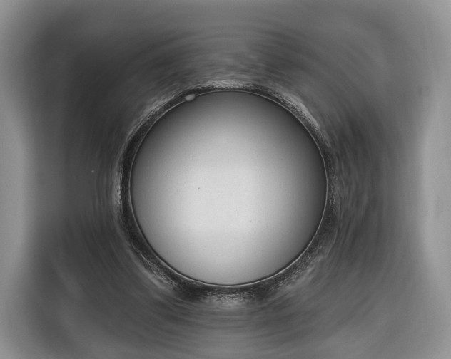 X0000116380299200912091420