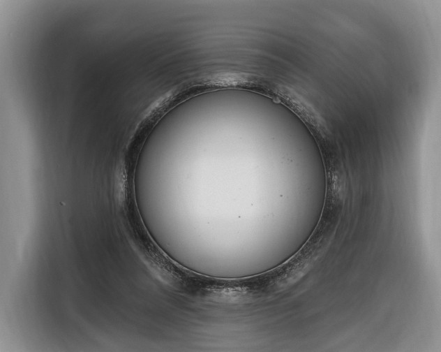 X0000116380304200912091420