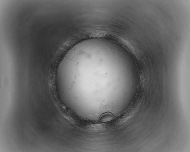 X0000116380307200912091420