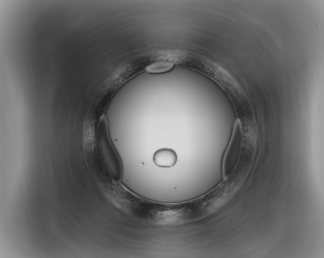 X0000116380312200912091420