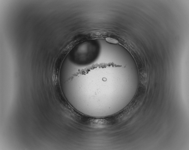 X0000116380324200912091419