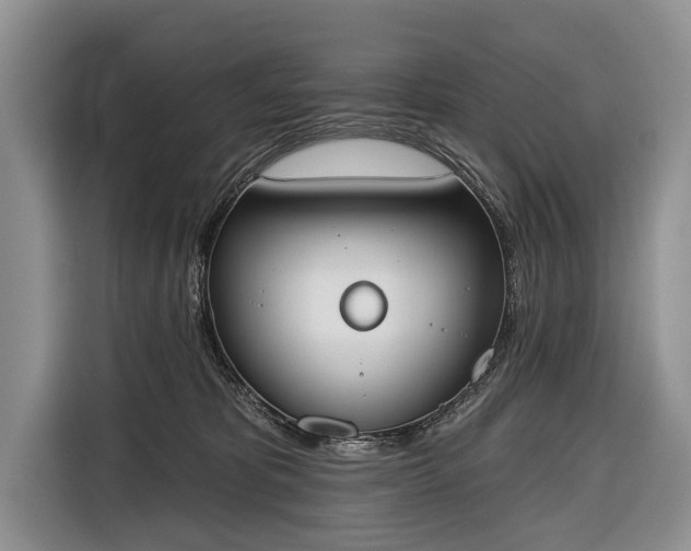 X0000116380325200912091419