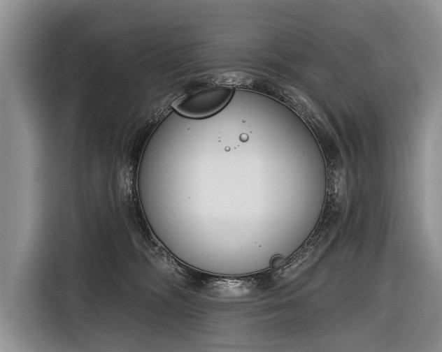 X0000116380326200912091419