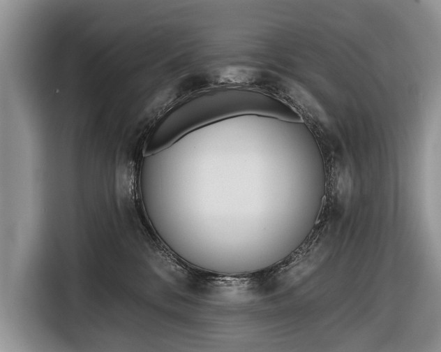 X0000116380328200912091419