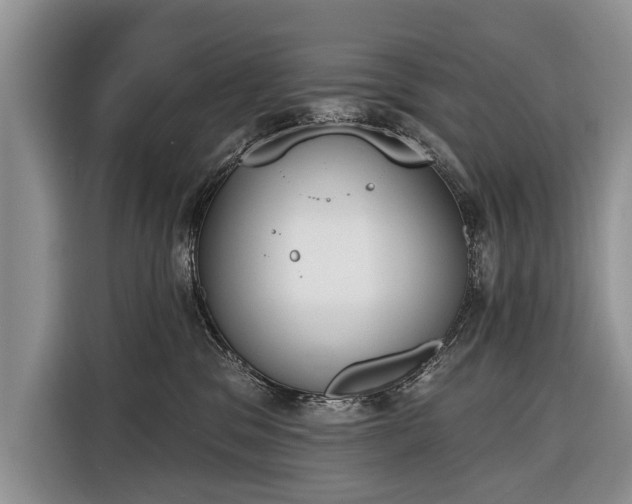 X0000116380329200912091419