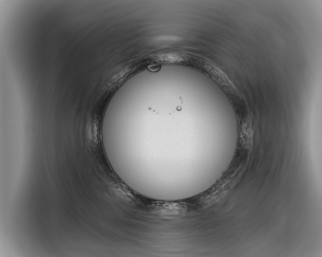 X0000116380330200912091419