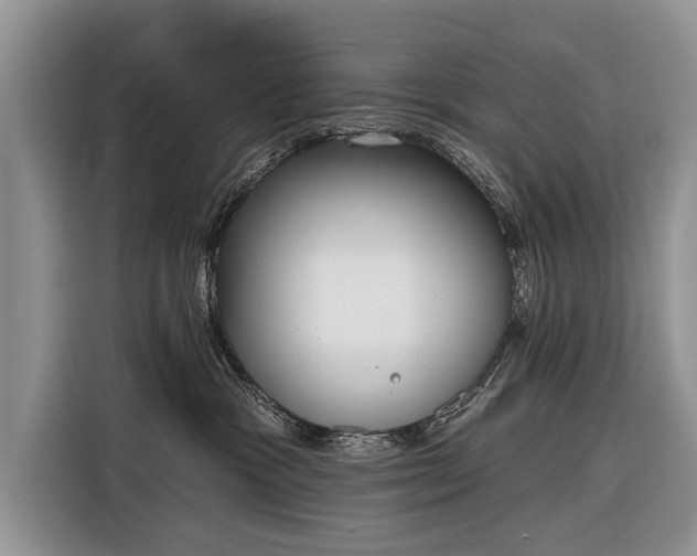 X0000116380333200912091419