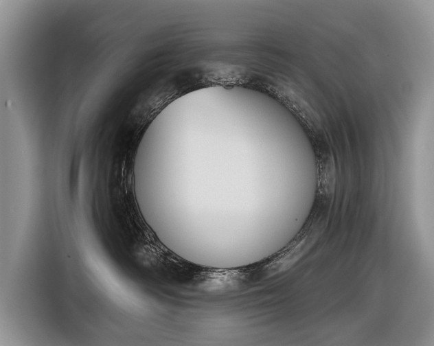 X0000116380334200912091419