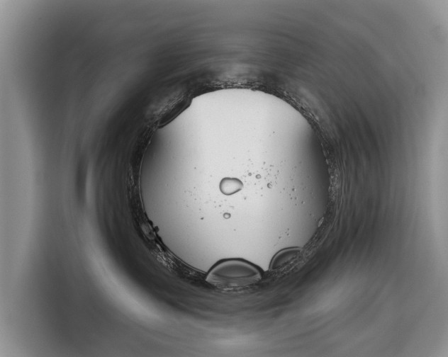 X0000116380335200912091419