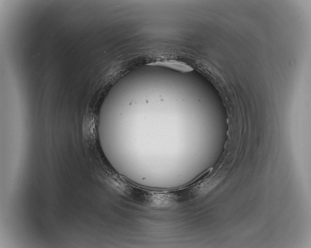 X0000116380336200912091419