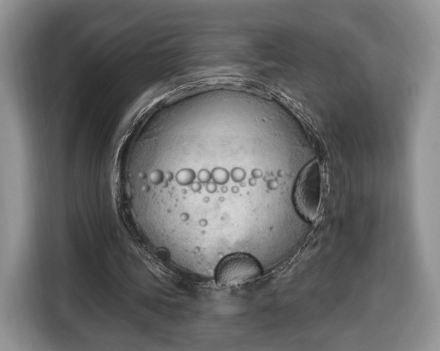 X0000116380339200912091419
