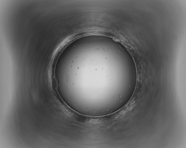 X0000116380341200912091419