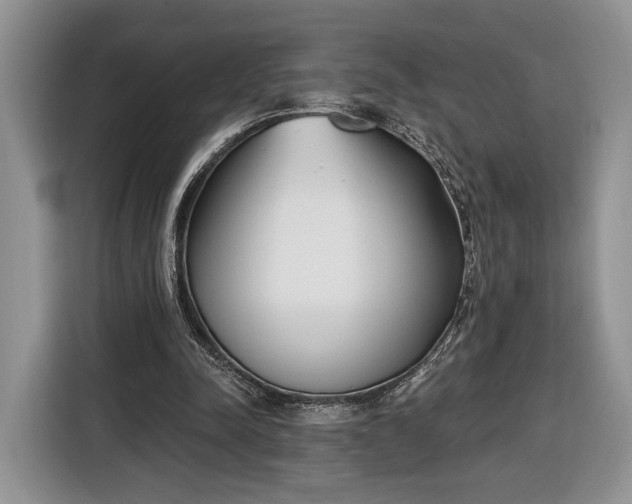 X0000116380342200912091419